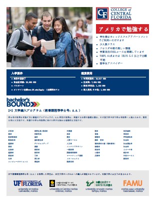 Japanese Flyer