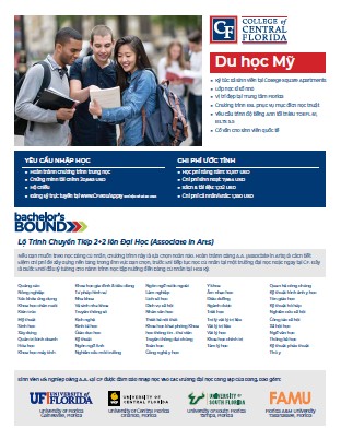 Vietnamese Flyer