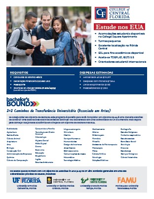 Portuguese Flyer