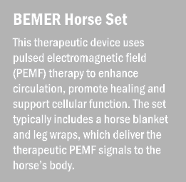 BEMER Horse Set This therapeutic device uses pulsed electromagnetic field (PEMF) therapy to enhance circulation, prom...