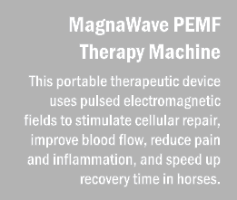 MagnaWave PEMF Therapy Machine This portable therapeutic device uses pulsed electromagnetic fields to stimulate cellu...