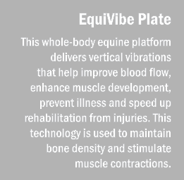EquiVibe Plate This whole body equine platform delivers vertical vibrations that help improve blood flow, enhance mus...